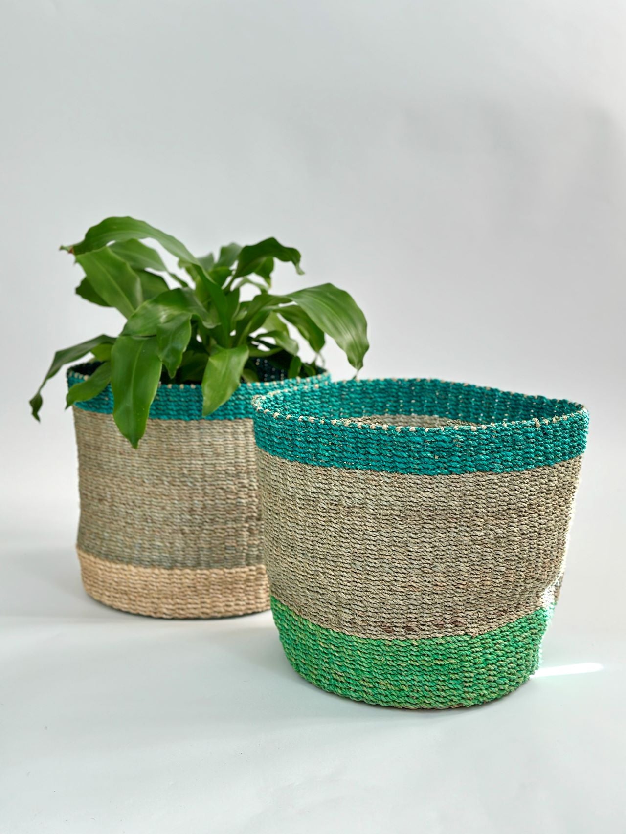 Abaca Colored Baskets